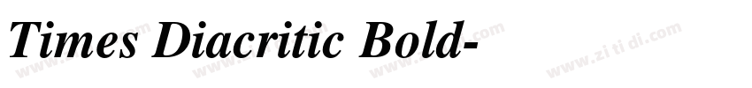 Times Diacritic Bold字体转换